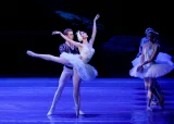 Балет «Лебединое озеро»